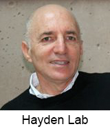 Hayden Lab