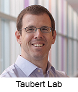 Taubert Lab